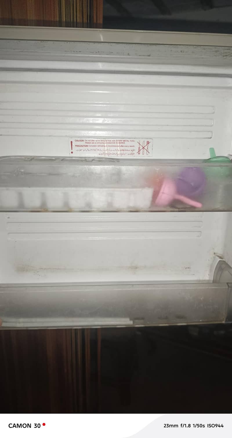pel fridge medium size 3