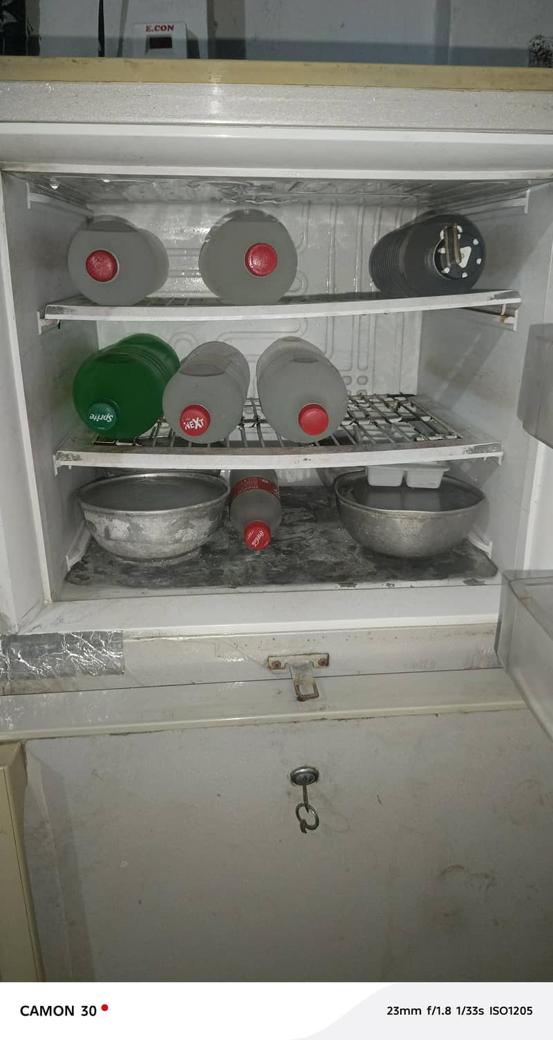 pel fridge medium size 4