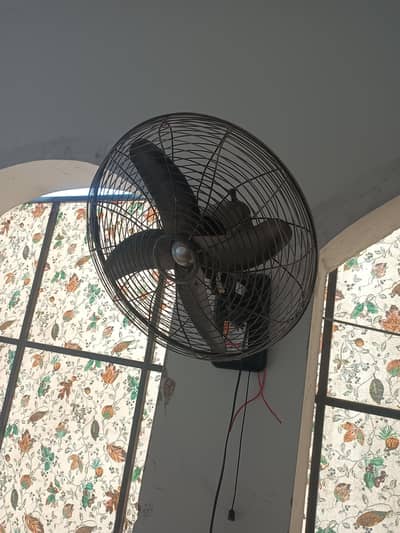 Barack Fan