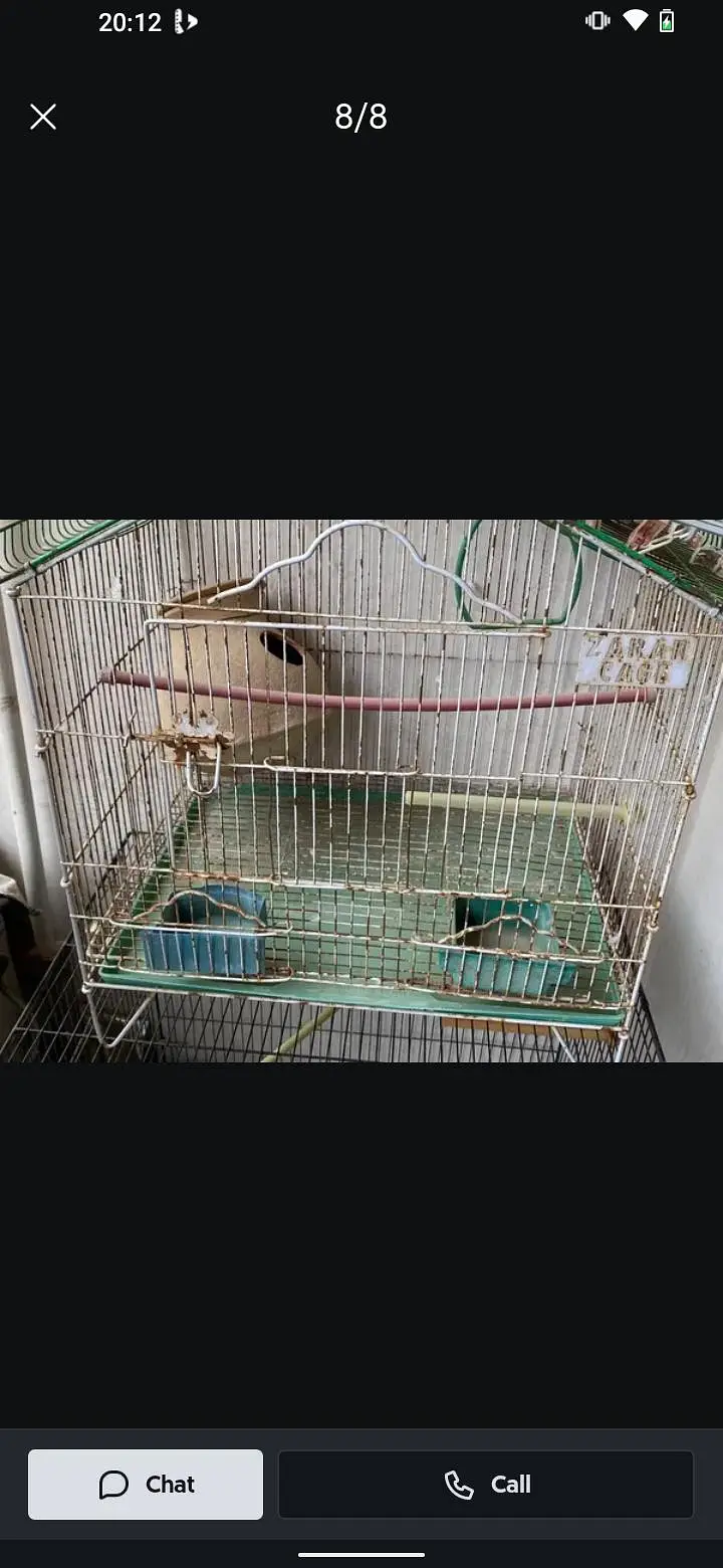 cream cocktail pair or 1 grey ka phata bhi ha with 1 portion cage — photo 7