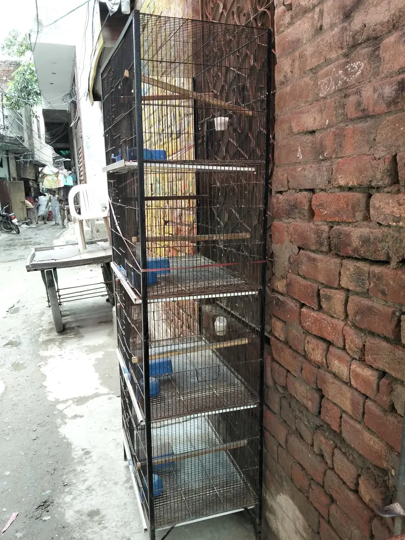 Cage iron — photo 2