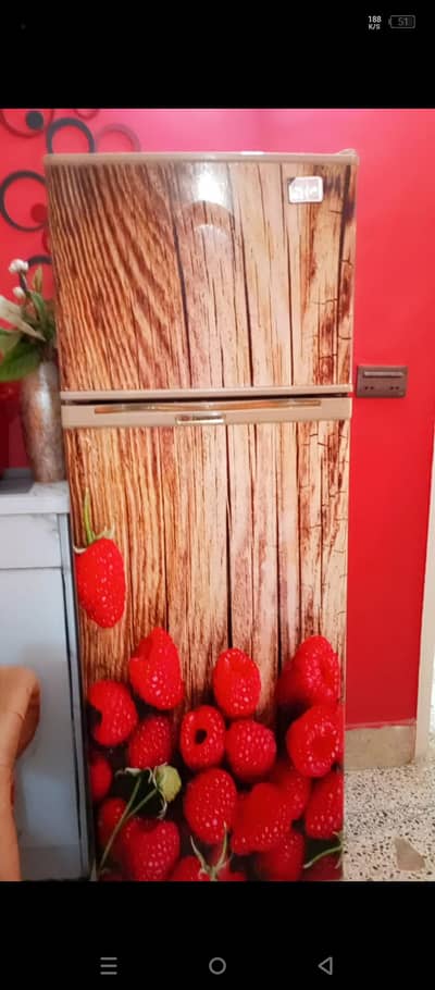 Perfect Working 100 % GENEIUN Pel Fridge