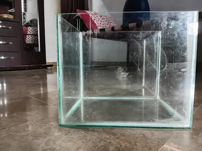 Tecno Spark 5 Pro 10