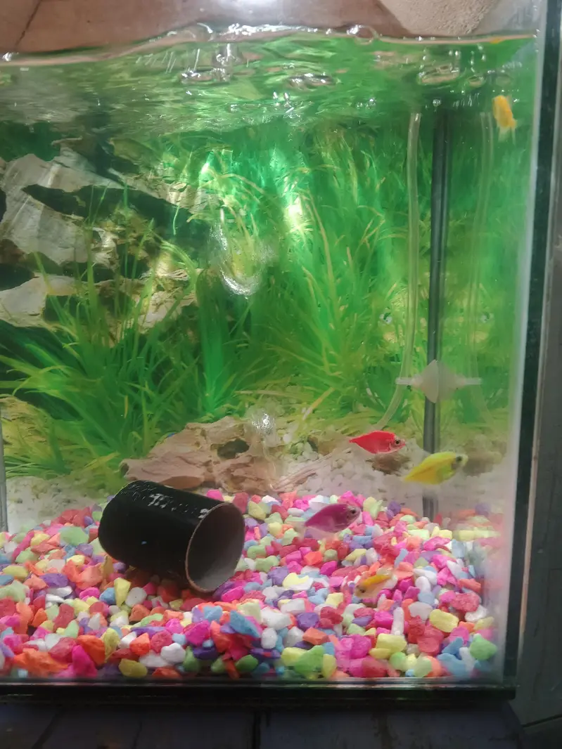Aquarium for sale — photo 2