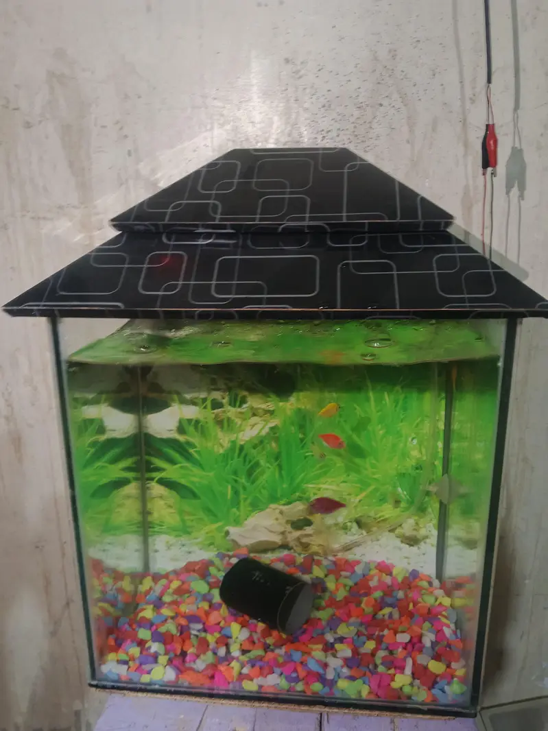 Aquarium for sale — photo 3