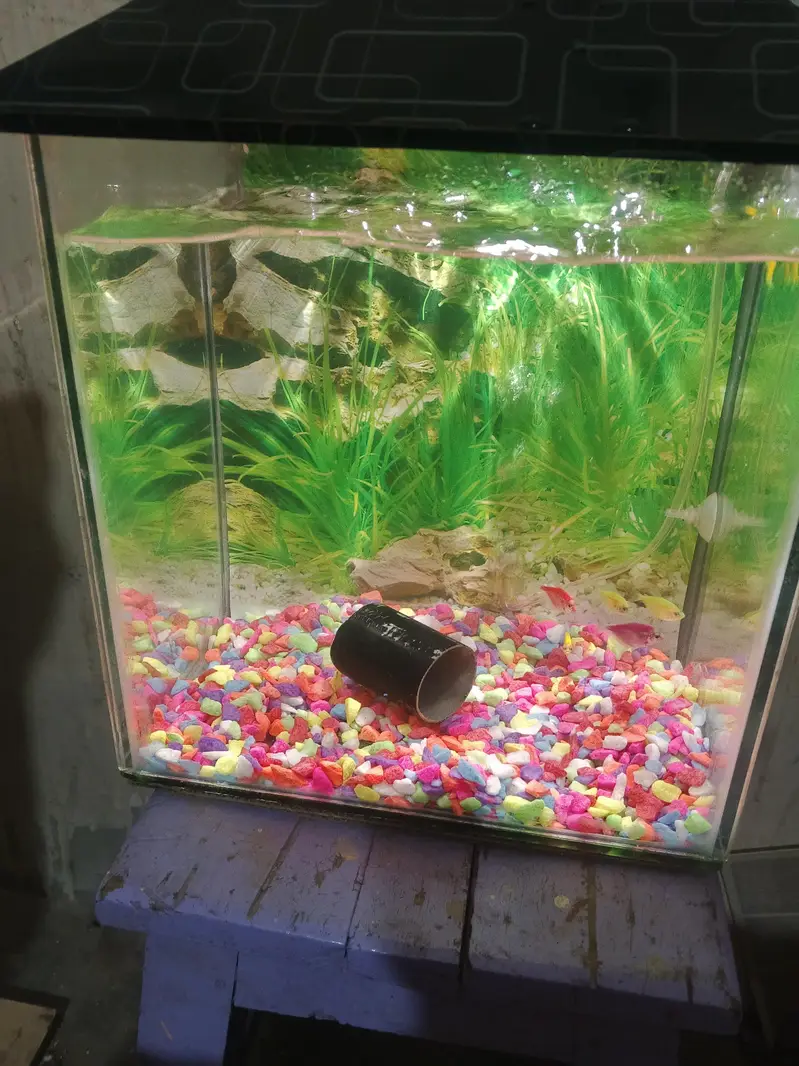 Aquarium for sale — photo 6