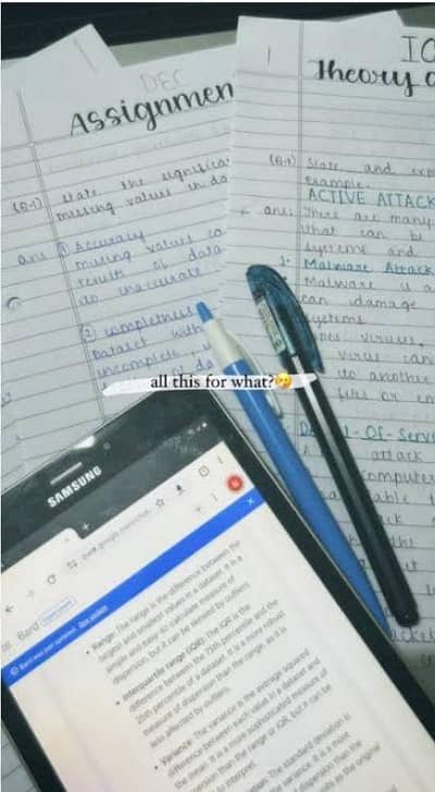 Online Assignment Work