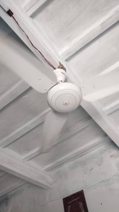 ceeling fan 03