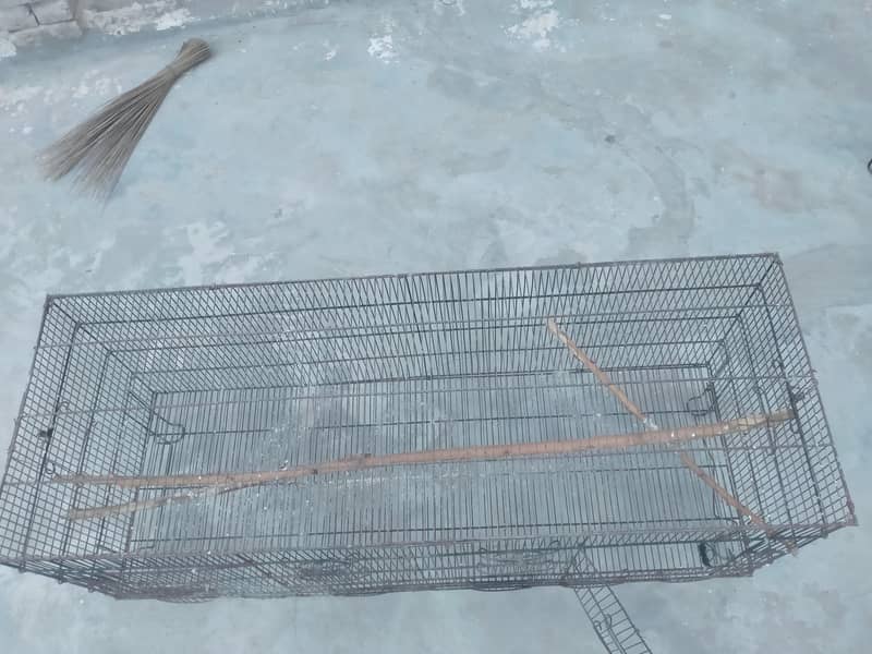 cages 1