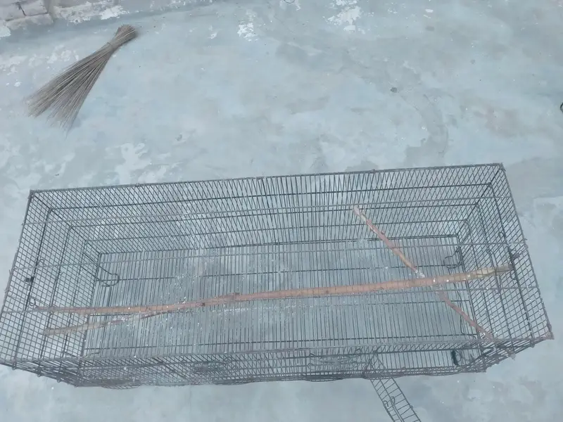cages — photo 2