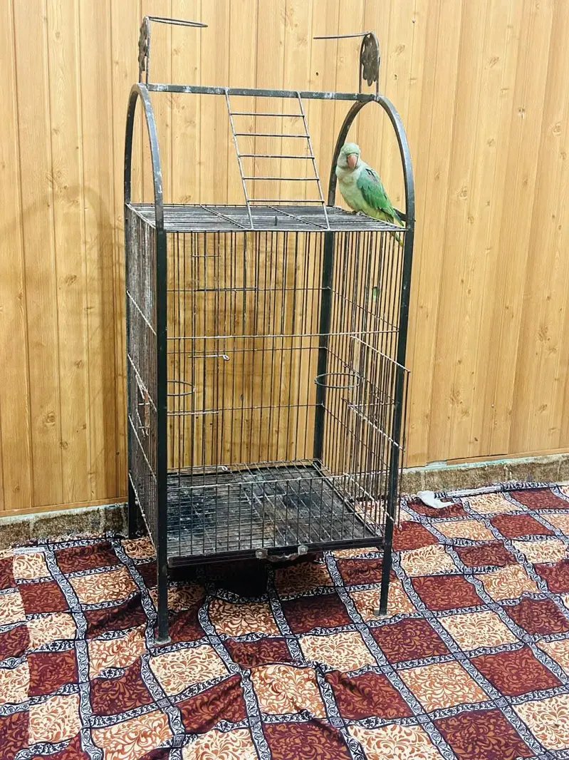cages