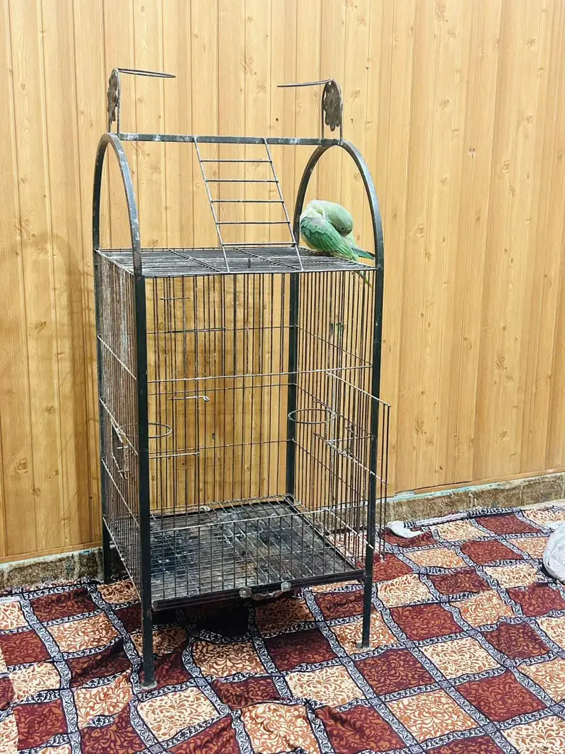 cages — photo 2