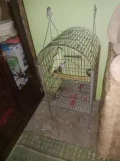 raw with cage 1