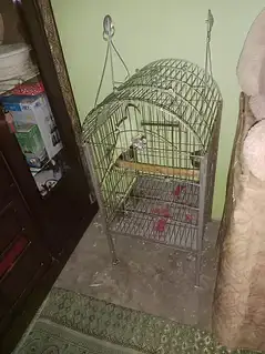 raw with cage — photo 2