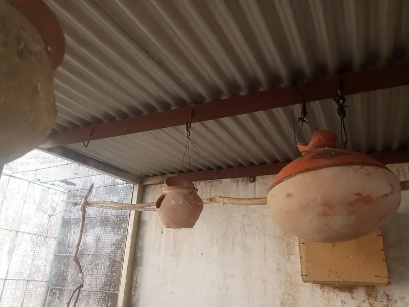 Cage for birds and hens — photo 2