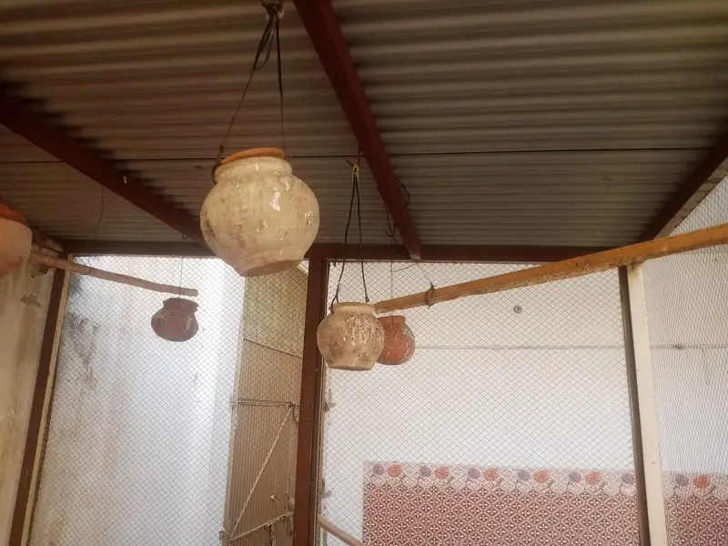 Cage for birds and hens — photo 7