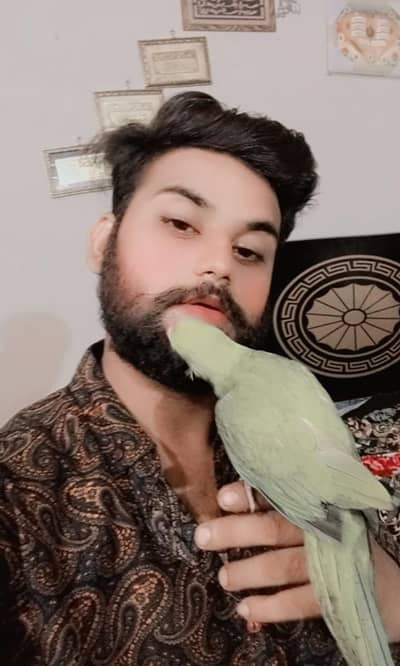 6 months old baby