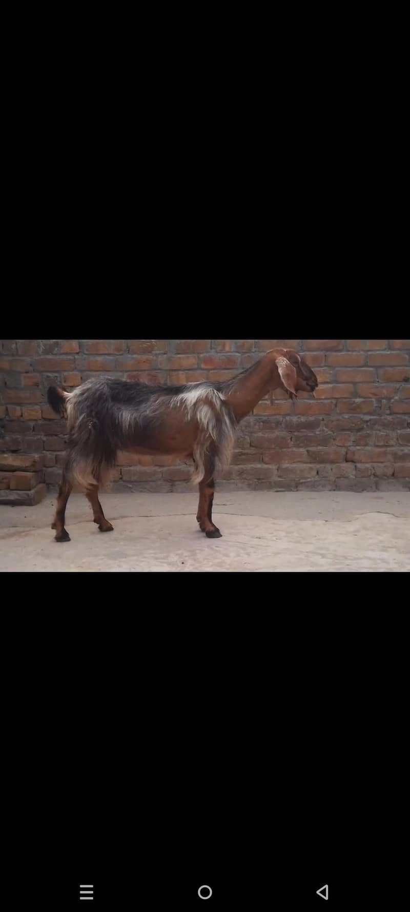 For sell 0