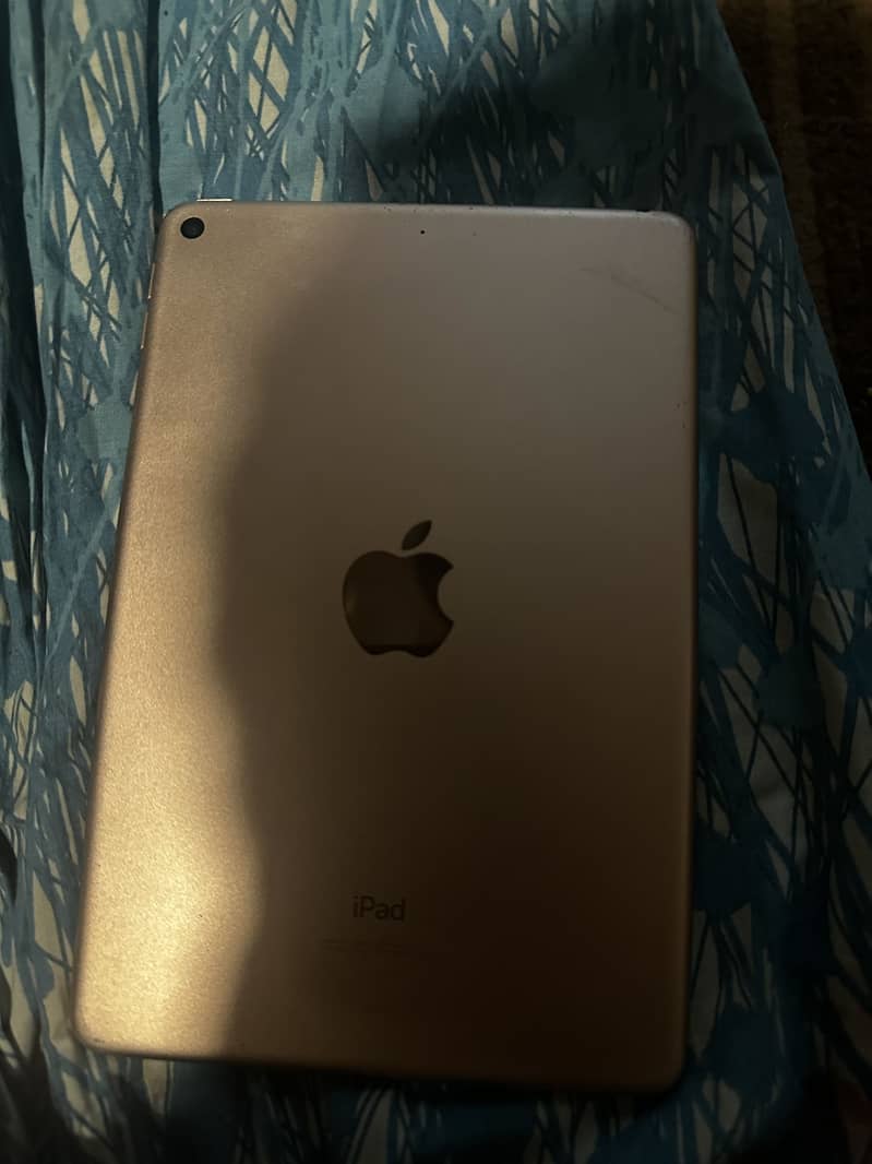 I Pad mini 5 0