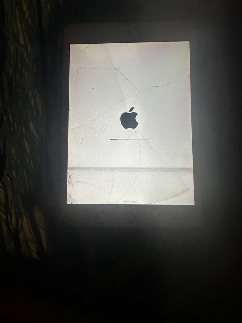 I Pad mini 5 1