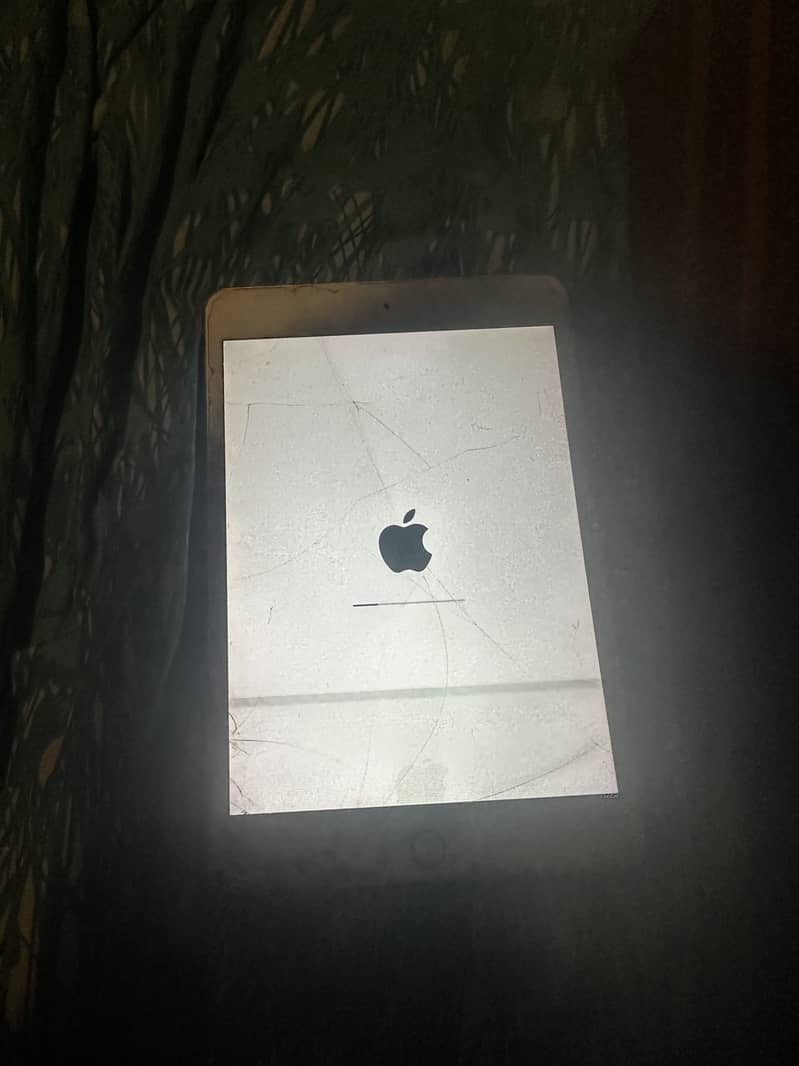 I Pad mini 5 2