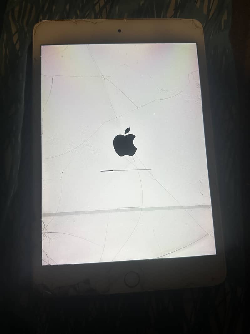 I Pad mini 5 3