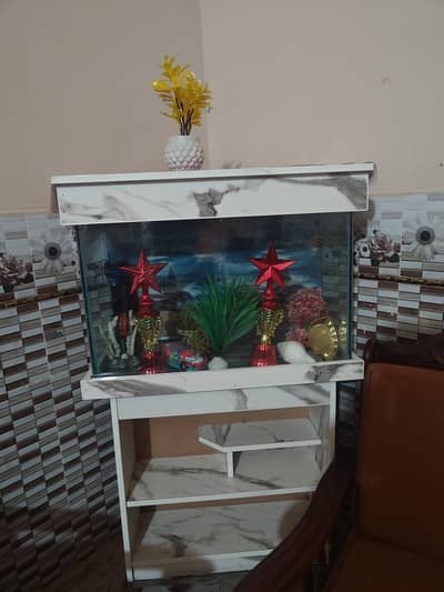 fish tank