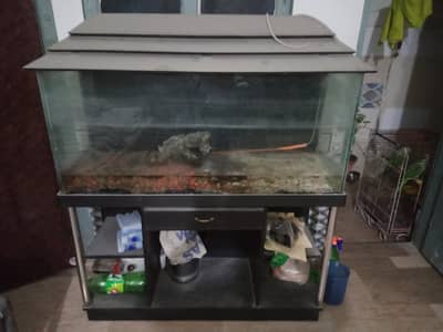 3 feet aquarium