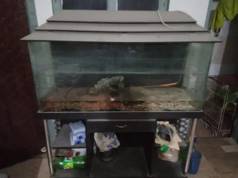 3 feet aquarium — photo 3