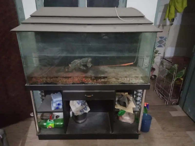 3 feet aquarium — photo 4