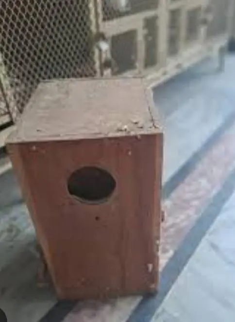 1year use please interested costumer rabta kre — photo 2