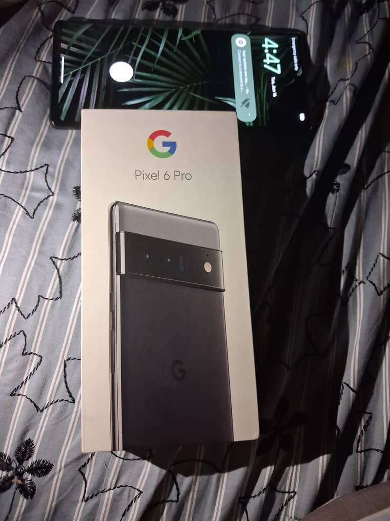 Google Pixel 6 Pro 0