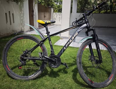 Lehuhw 1.0 Mountain Bike  for sale