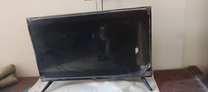 Haier LED Condition 10/10