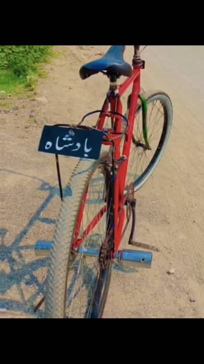 Phoenix original frame cycle