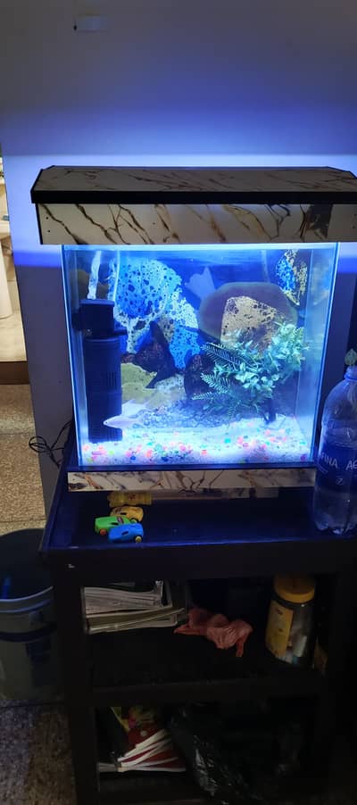 Aquarium with 2 Fish, Filter Pump, Rocks, Artificial Building and Tree