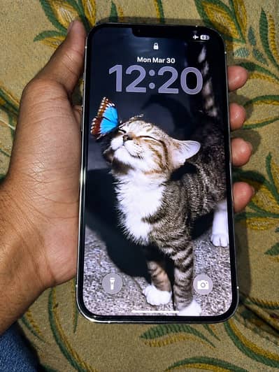 Apple iPhone 13 Pro Max