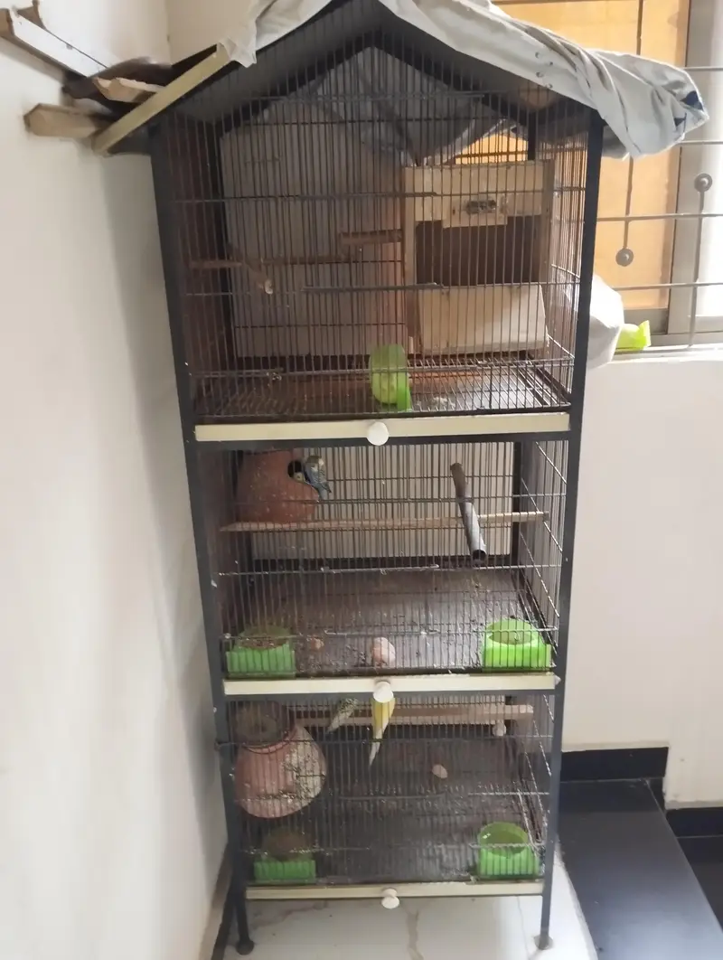 selling 3 portion (heavy gedge) bird cage. — photo 2