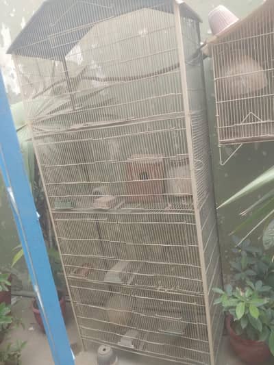 cage 7 portion ok he