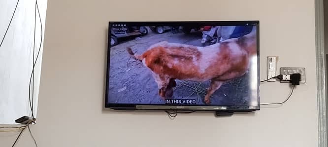 Sony Bravia 40 inch led with android box