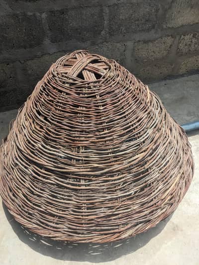 murgi ka tokra