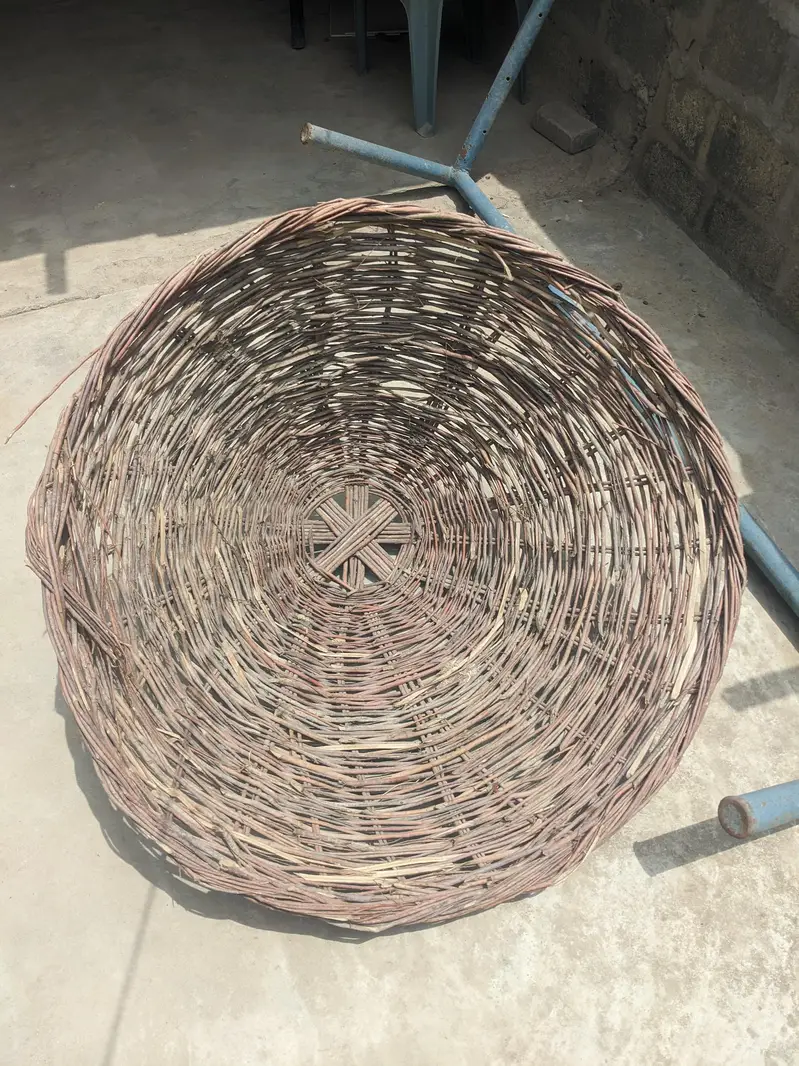 murgi ka tokra — photo 2