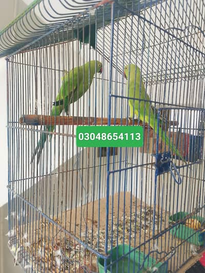 2 pic 15000 )03048654113