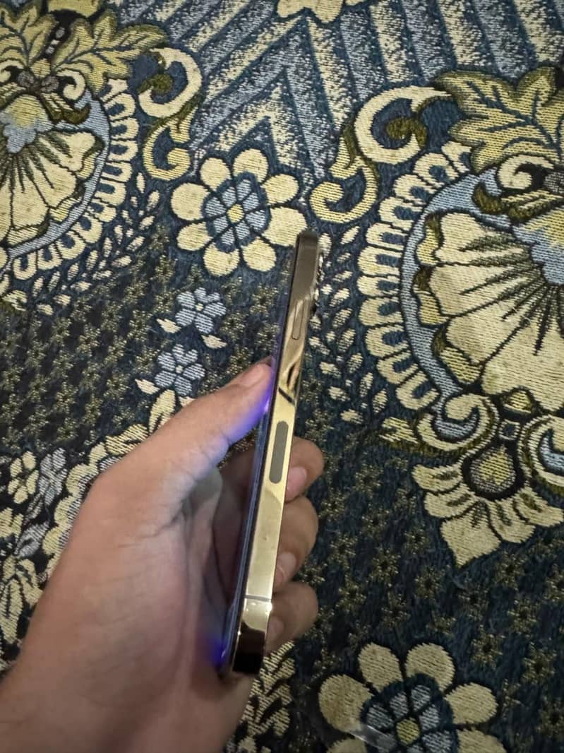 Apple iPhone 13 Pro Max 3
