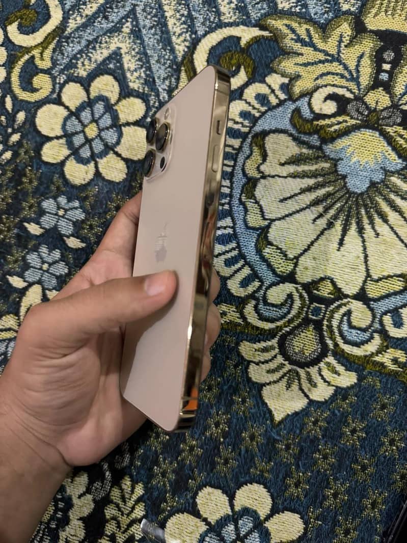 Apple iPhone 13 Pro Max 5