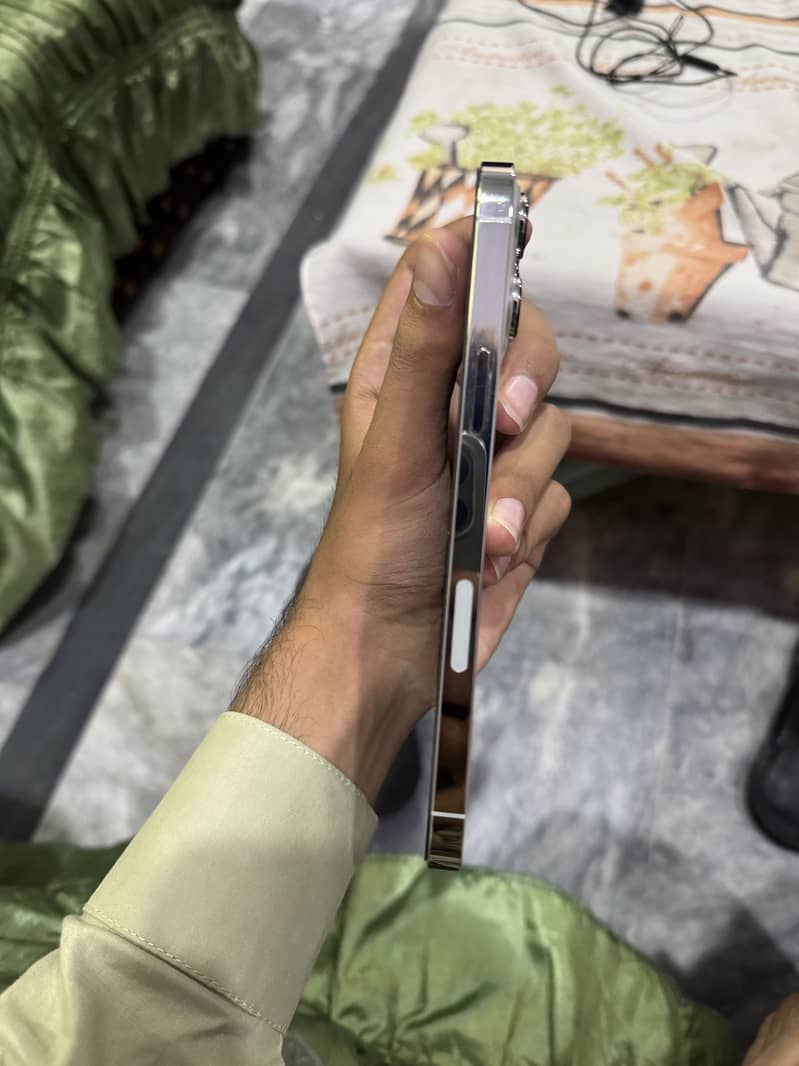 Apple iPhone 13 Pro Max 2
