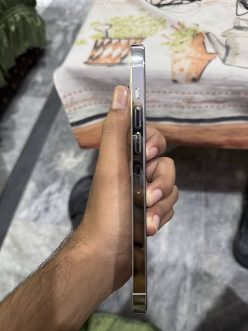 Apple iPhone 13 Pro Max 7