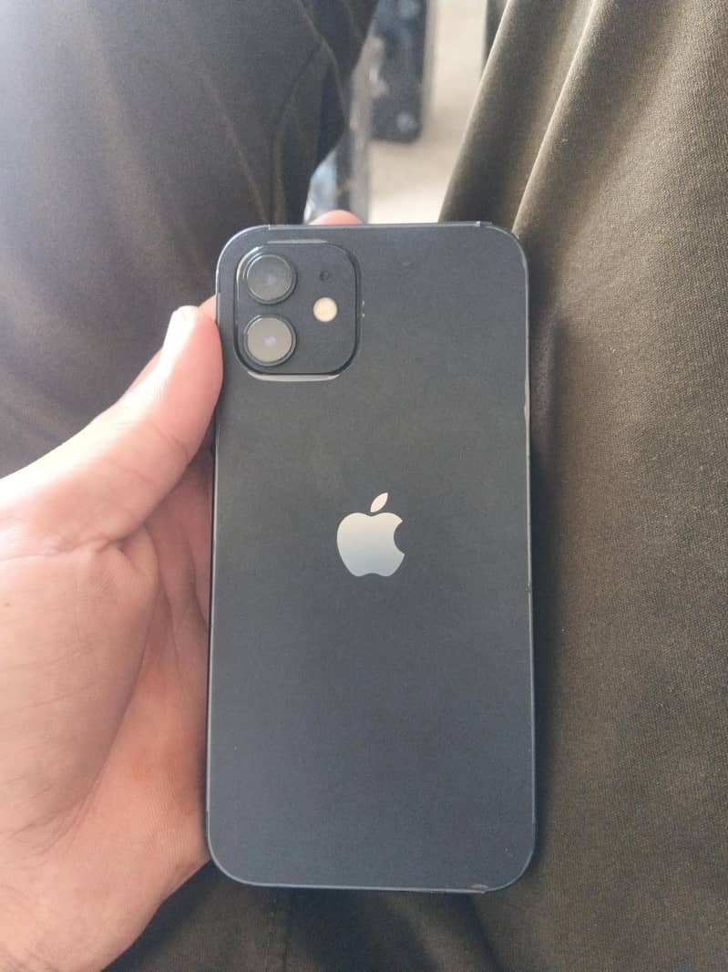 Apple iPhone 12 1