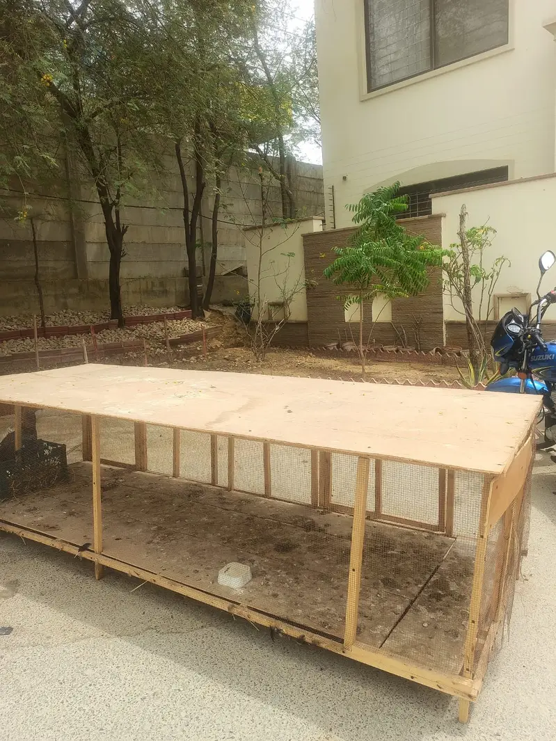 Bird cage — photo 2