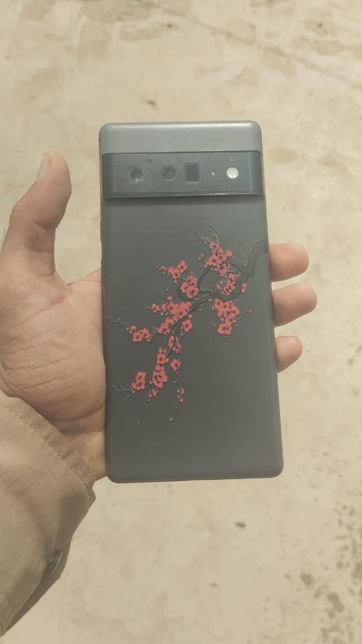 Google Pixel 6 Pro 0